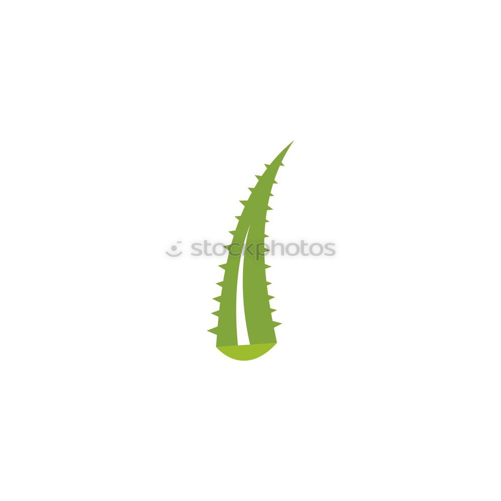 Image, Stock Photo The claw Green Iguana Claw