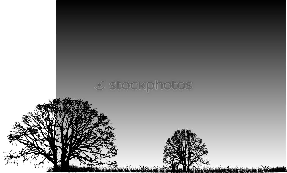 Similar – Image, Stock Photo . Reflection on a large window pane, with trees in the background, in the window pane white stripes are reflected.