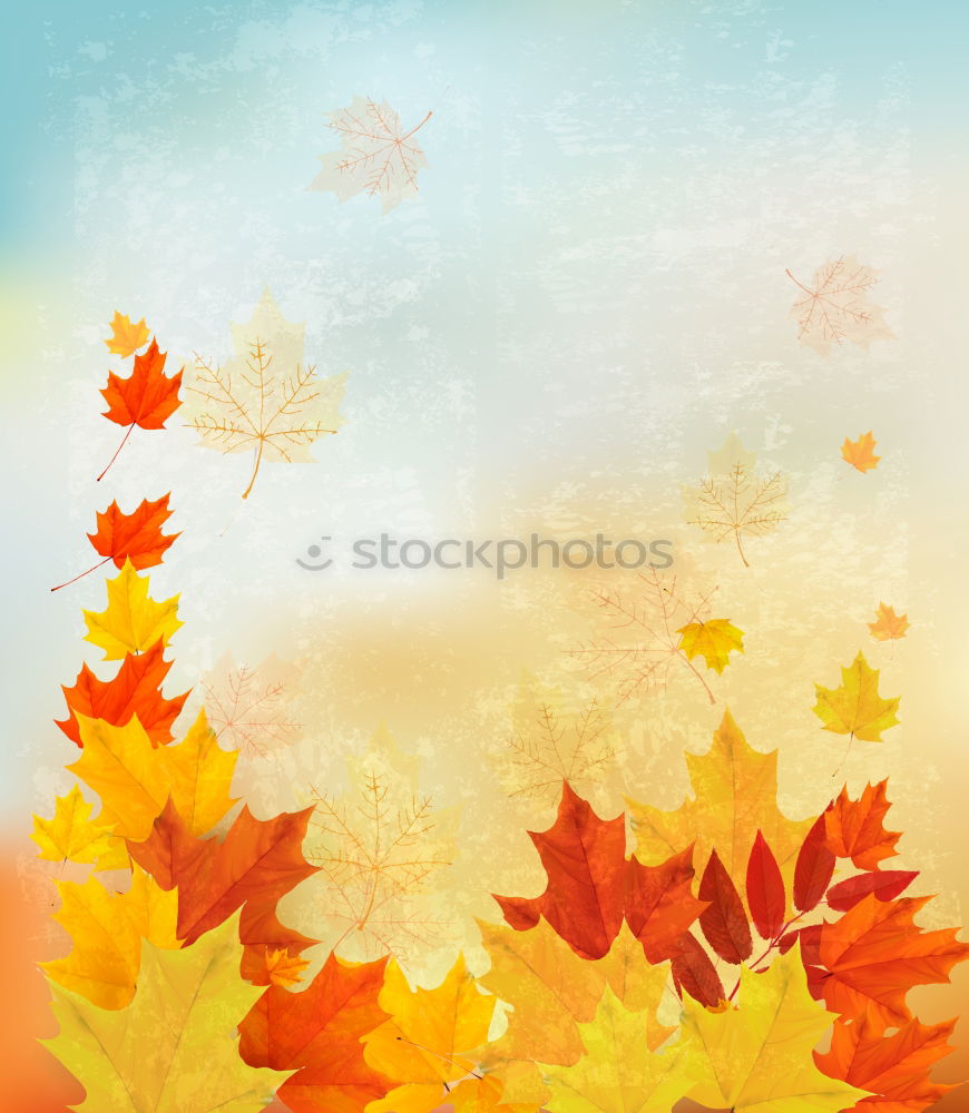 Similar – Image, Stock Photo Fresh into autumn…(IX)