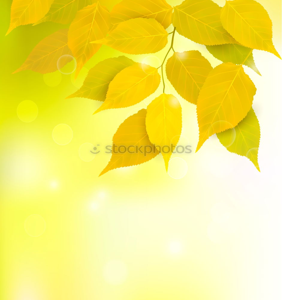 Similar – Image, Stock Photo #A# Designer Autumn Art