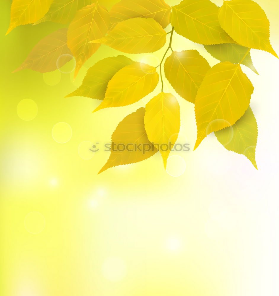 Similar – Image, Stock Photo #A# Designer Autumn Art