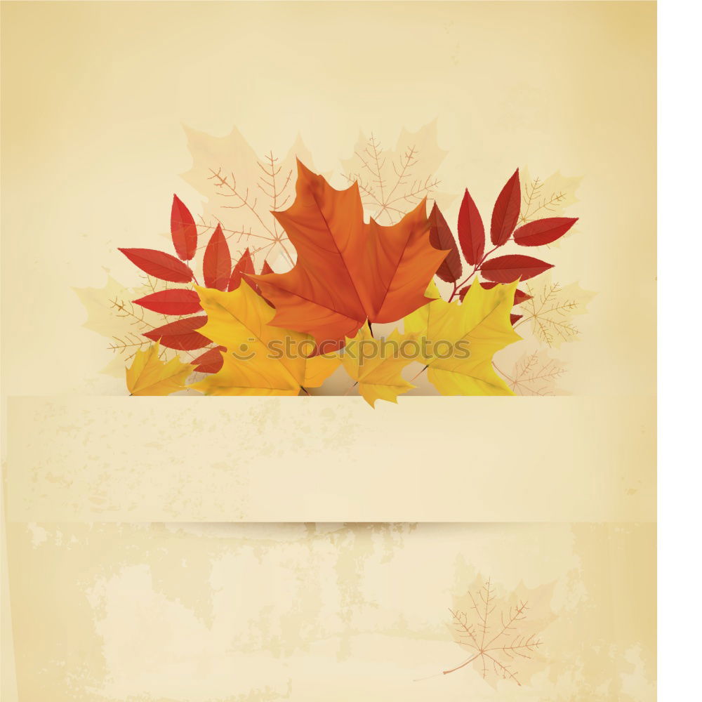 Bฺlank paper with autumn leaves and pumpkin