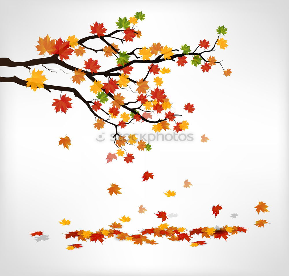 Similar – Image, Stock Photo Maple leaves in winter