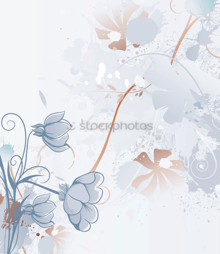 Similar – Floral turquoise blue background with white flowers