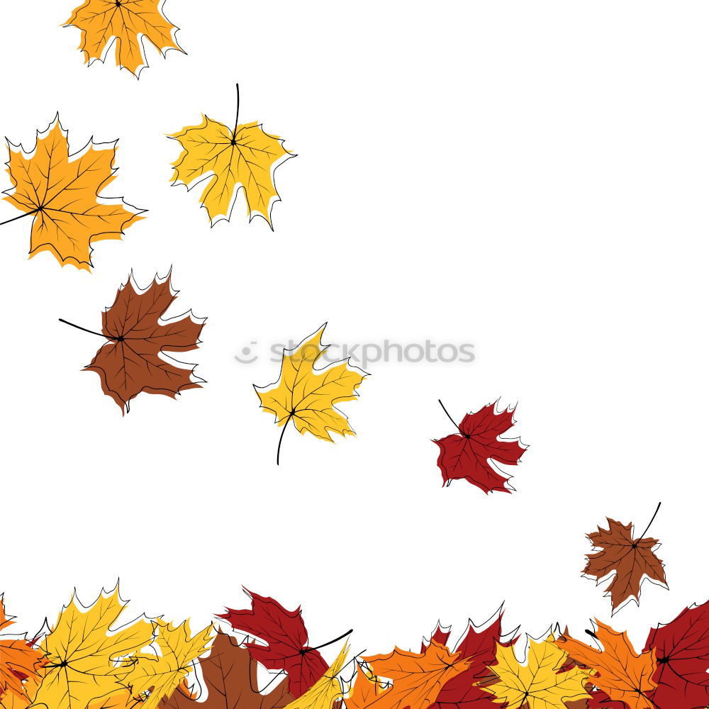 Similar – Image, Stock Photo Fresh into autumn…(IX)