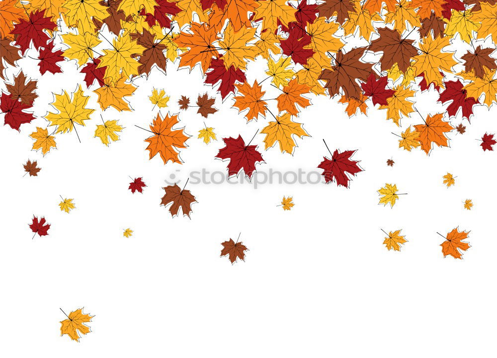 Image, Stock Photo Fresh into autumn…(IX)