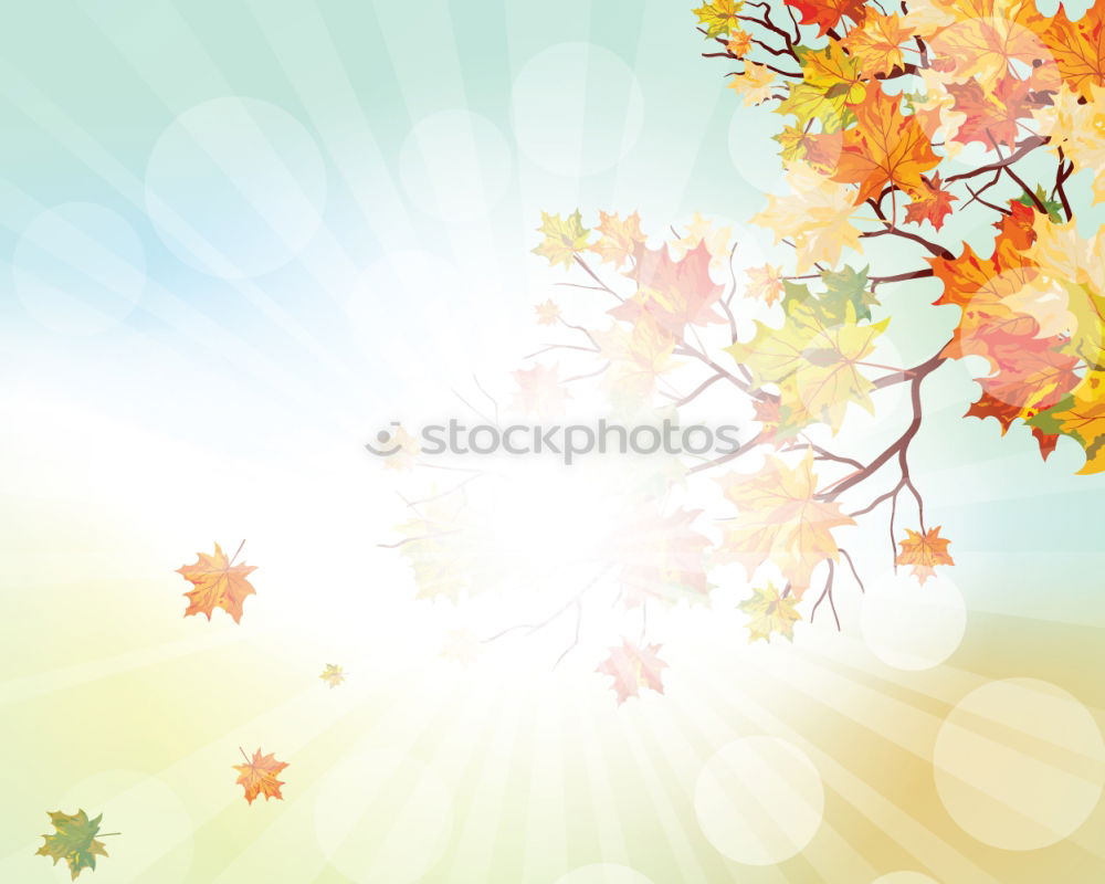 Similar – Image, Stock Photo Autumn Environment Nature