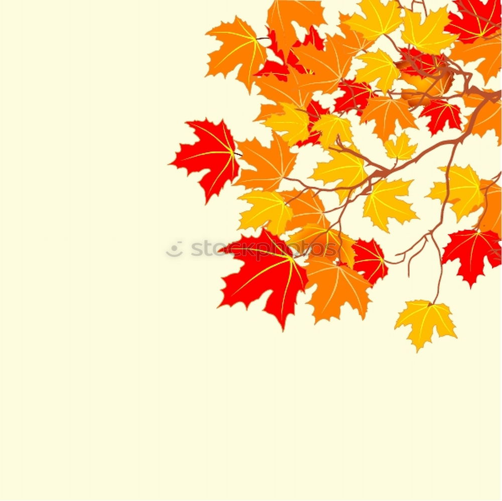 Similar – Image, Stock Photo Fresh into autumn…(IX)