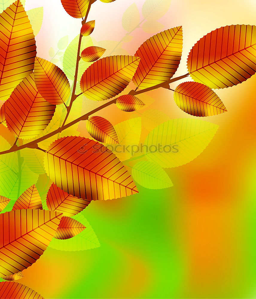 Similar – Luminous leaves