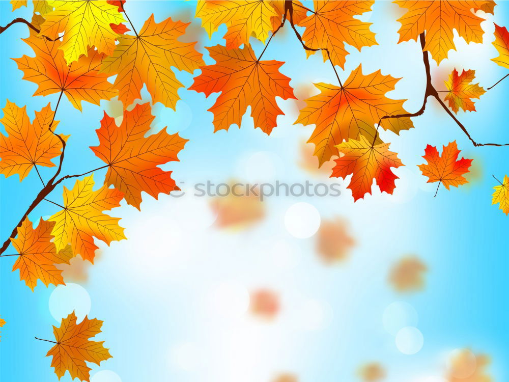 Similar – Image, Stock Photo Fresh into autumn…(IX)