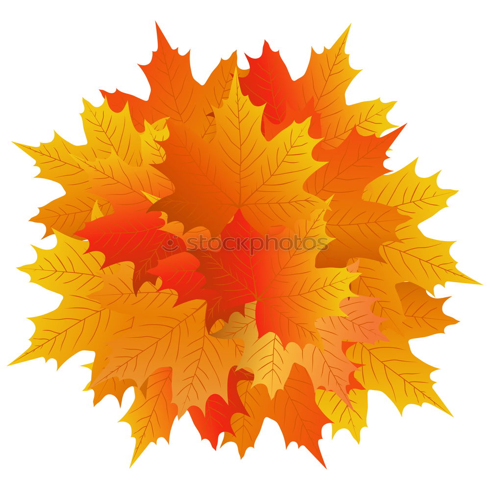 Similar – Image, Stock Photo one yellow dry leaf of a maple on a red background