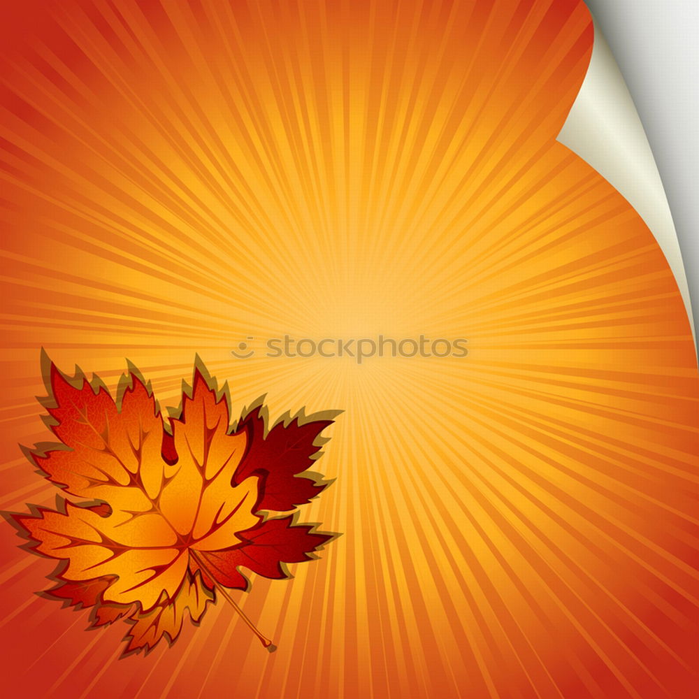 Similar – Image, Stock Photo one yellow dry leaf of a maple on a red background