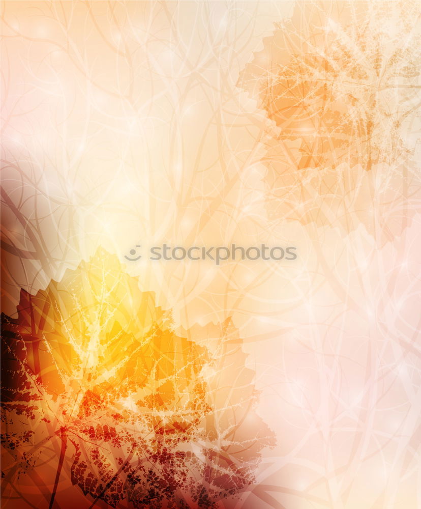 Similar – Autumn nature background , blurred