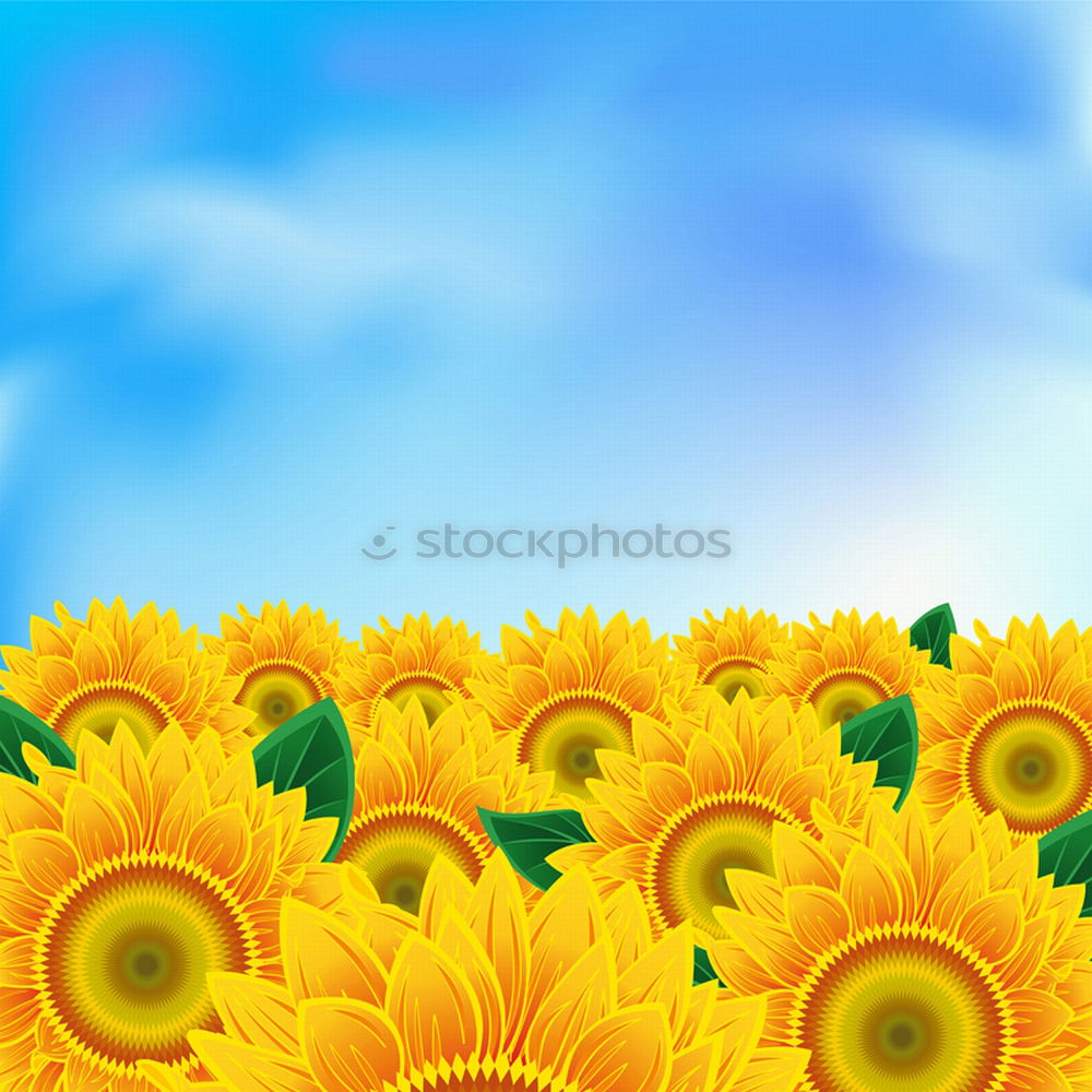 Similar – Image, Stock Photo awesome sunflower III