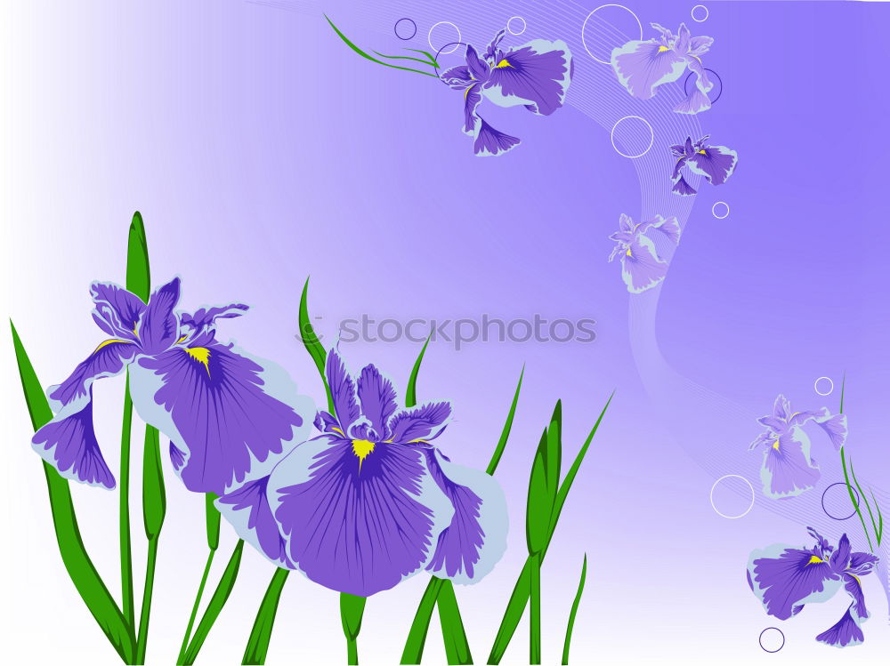 Similar – Image, Stock Photo Forget-me-not marsh; Myosotis palustris