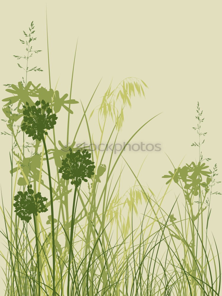 Similar – Image, Stock Photo grass Grass Green Bright