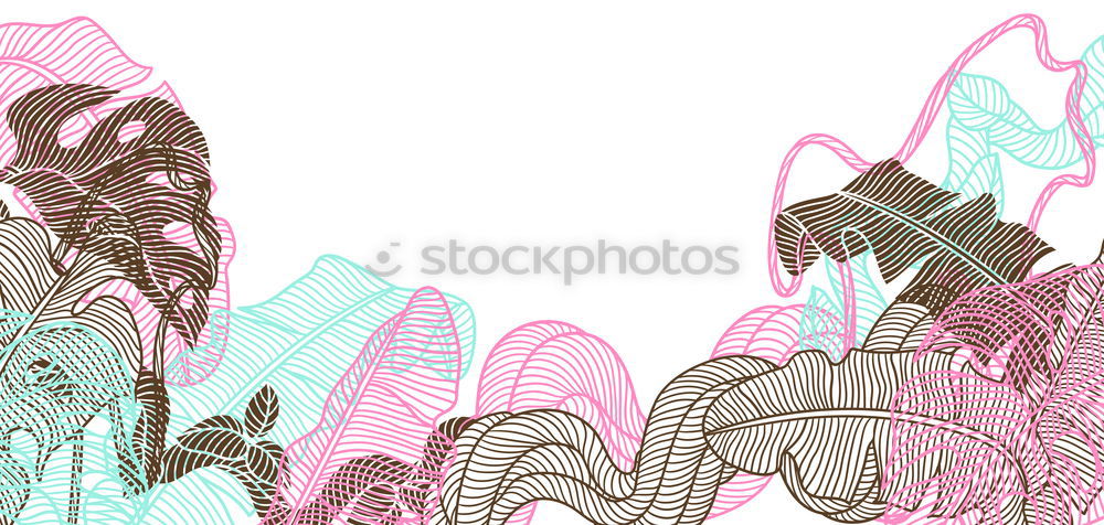 Similar – Turquoise tropical leaves and flowers background. Paper tropical leaves on pink background. Creative composing in pastel color with copy space for your design. Banner or template