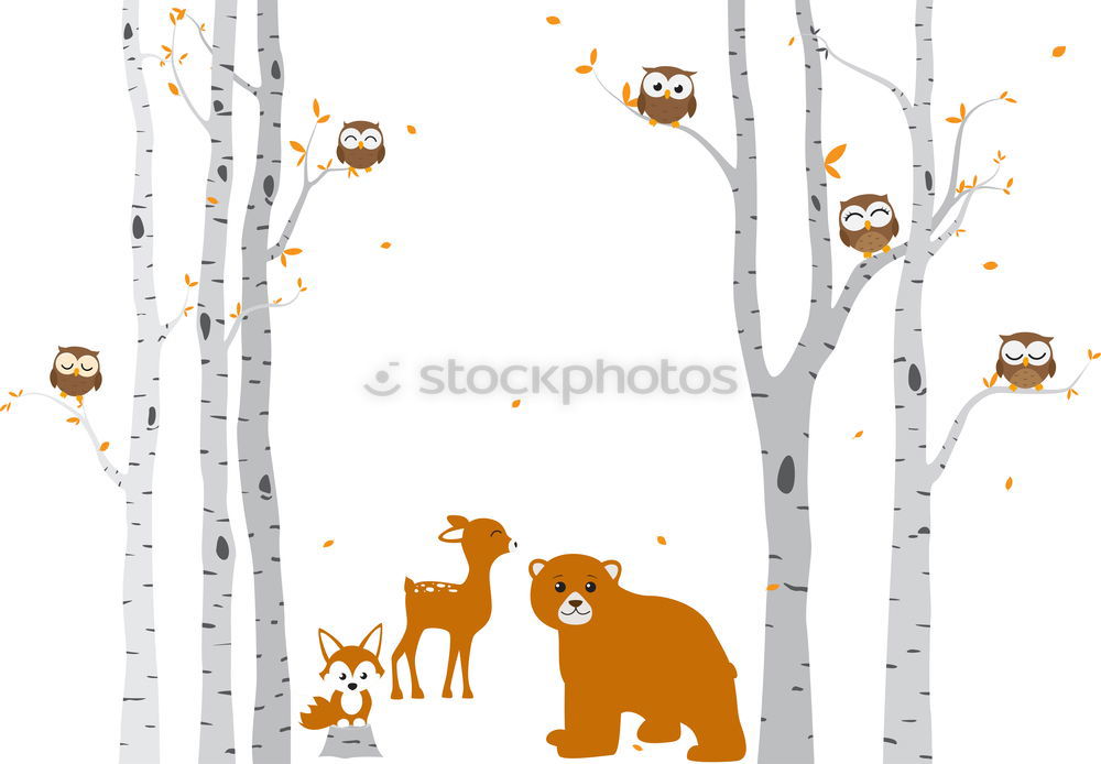 Image, Stock Photo Pappland Bear Environment