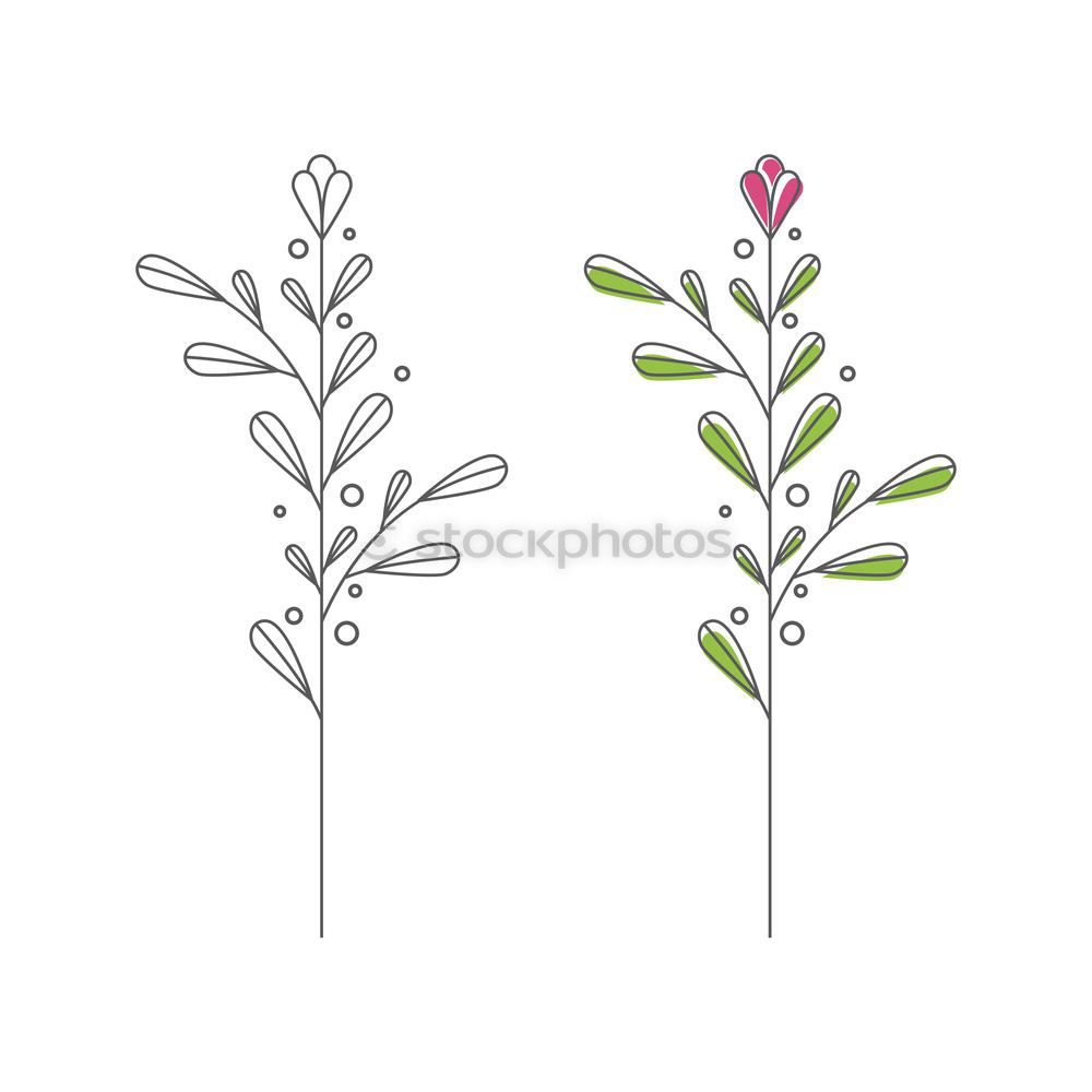 Similar – Image, Stock Photo Purple palm leaves on blue background