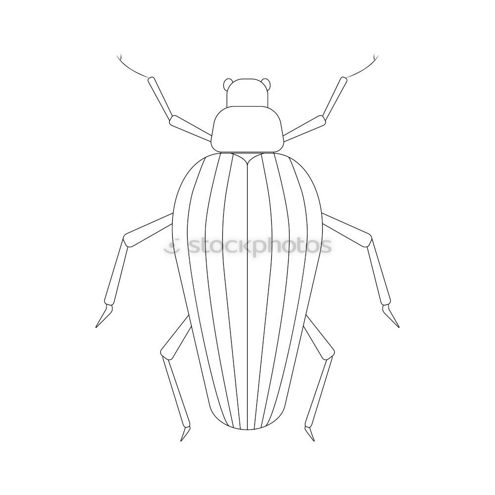 Similar – Image, Stock Photo My bug, your bug… Bow