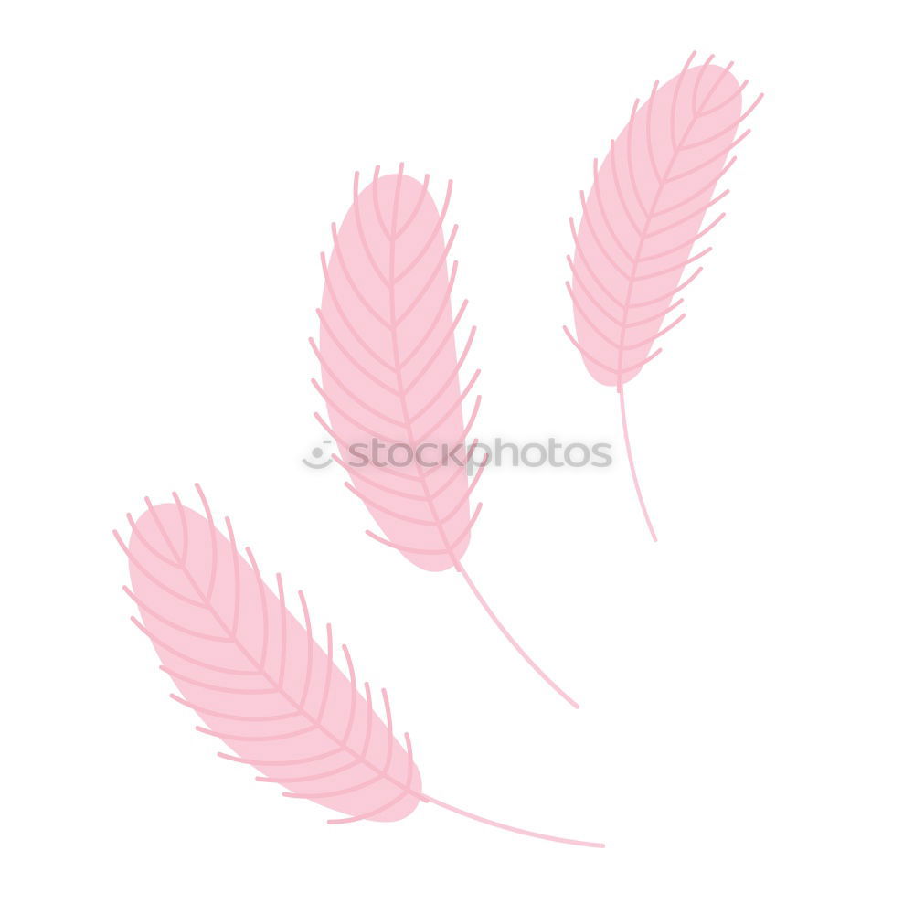 Similar – Image, Stock Photo Purple palm leaves on blue background