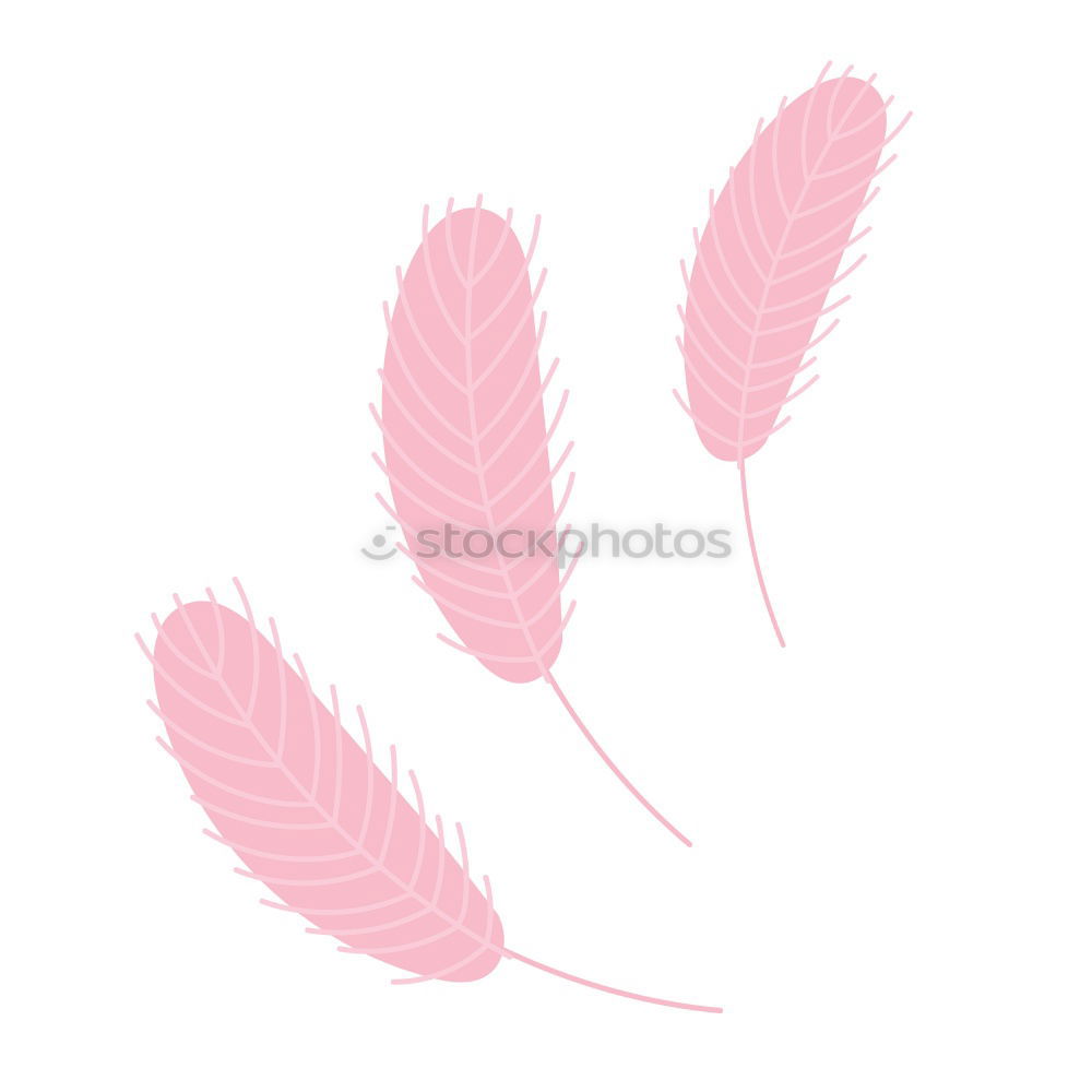 Similar – Image, Stock Photo Purple palm leaves on blue background