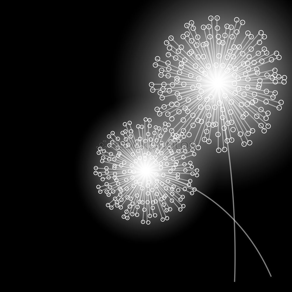 Similar – Image, Stock Photo puff flowers Dandelion