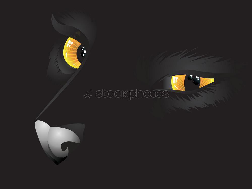 Similar – Foto Bild black cat Katze schwarz