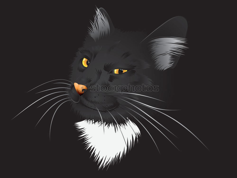 Similar – Image, Stock Photo black cat sticks out tongue