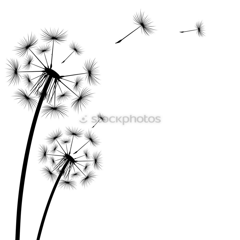 Similar – Image, Stock Photo wind Environment Nature