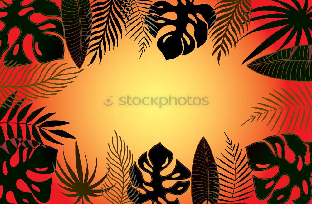 Similar – Image, Stock Photo primeval forest Plant