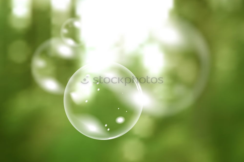 Similar – Image, Stock Photo drop on the green leaf