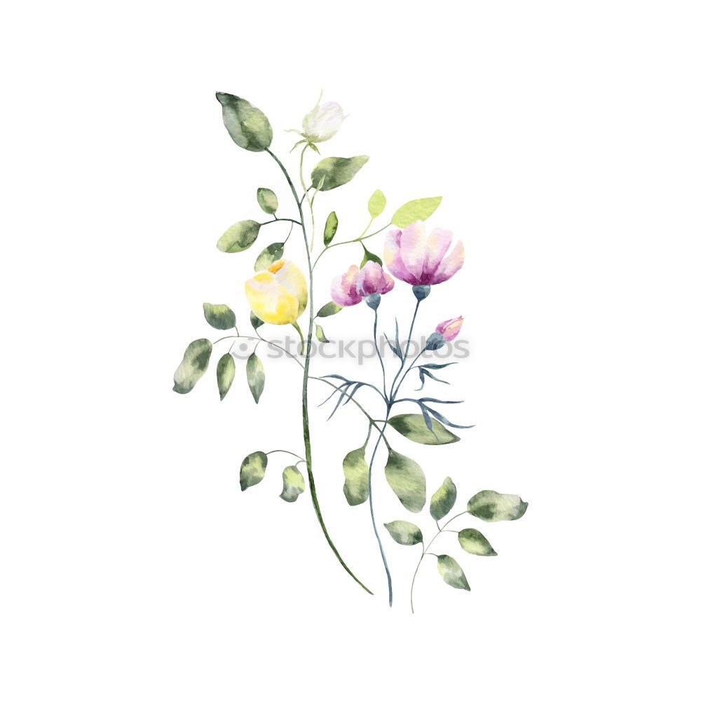 Similar – Image, Stock Photo FADE AWAY. Flower
