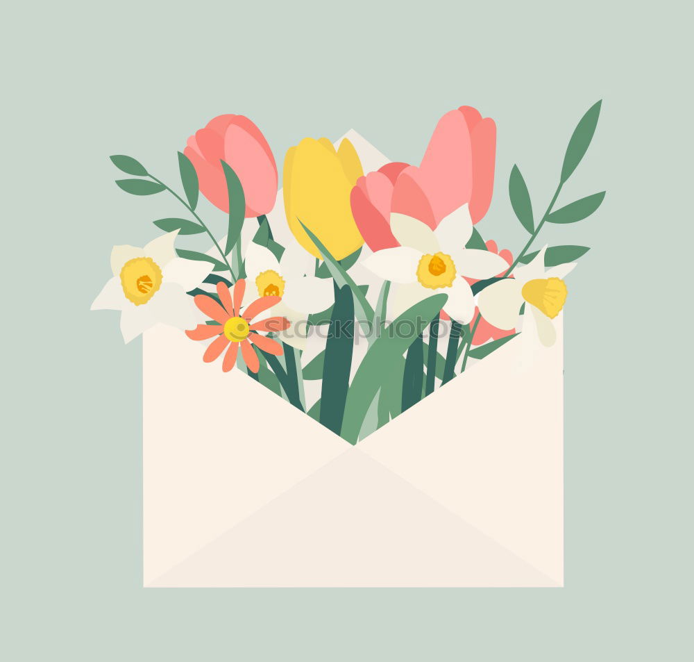 Similar – Flowers and envelope on a light pink background