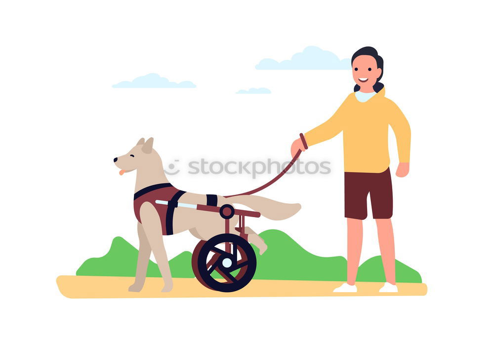 Similar – Image, Stock Photo Man fixing wheelchair on dog