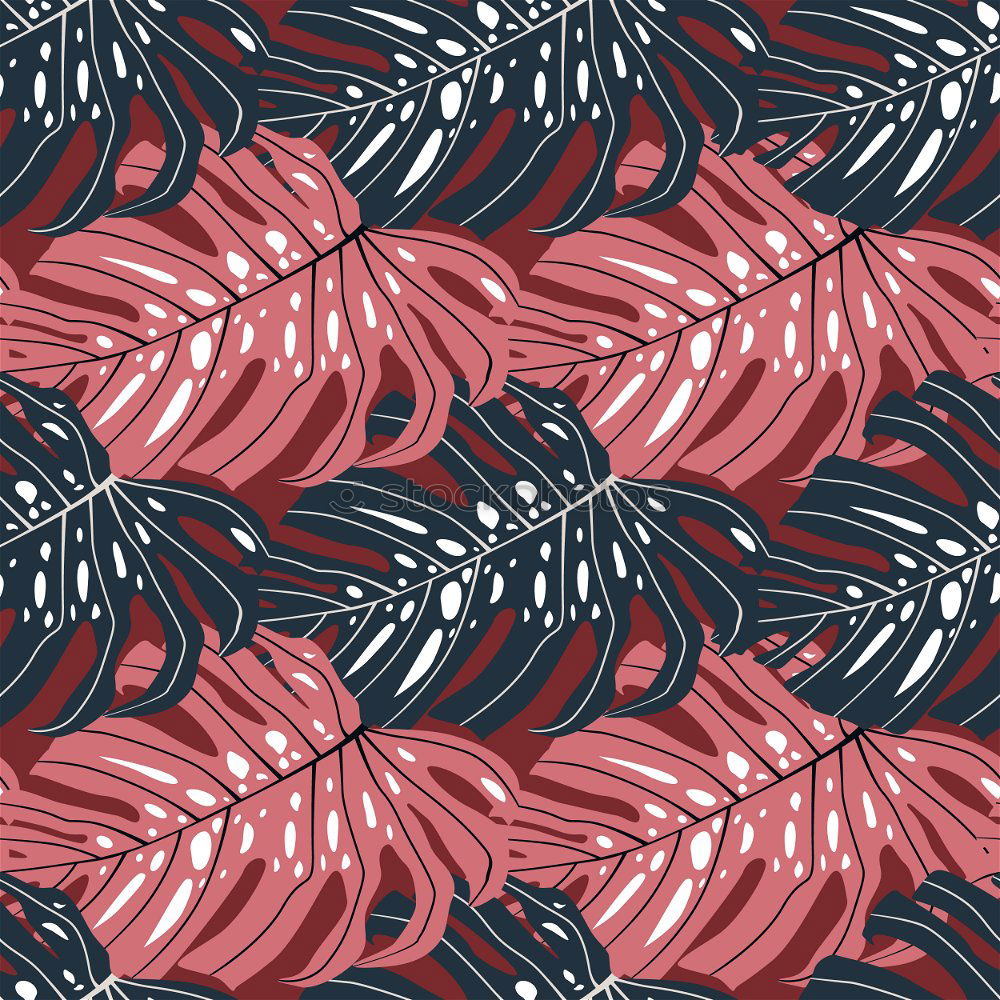 Similar – Pattern red watermelon on background. Flat lay, top view