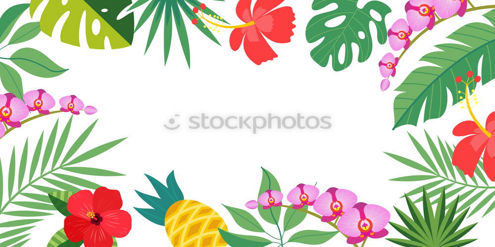 Similar – White background with tropical palm leaves and flowers