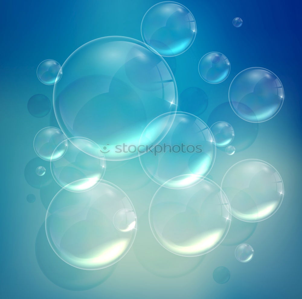 bubbles Nature Elements