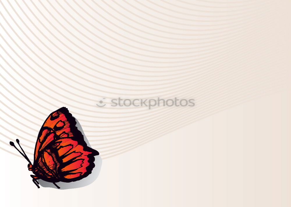 Similar – Image, Stock Photo the little black Style