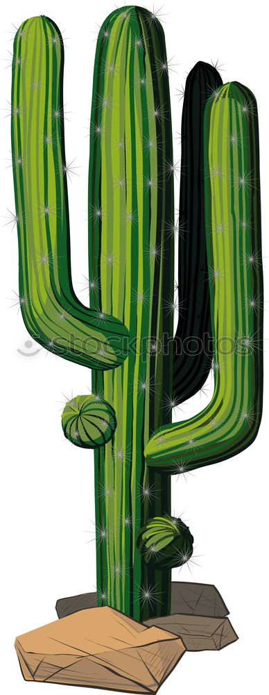 Similar – Image, Stock Photo GREEN FRIEND Vegetable