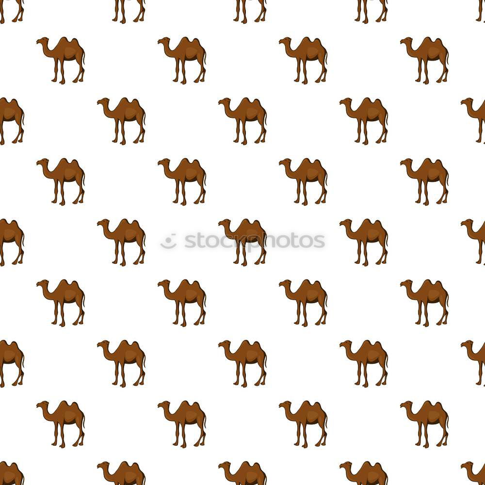 Image, Stock Photo Camel repeated figures