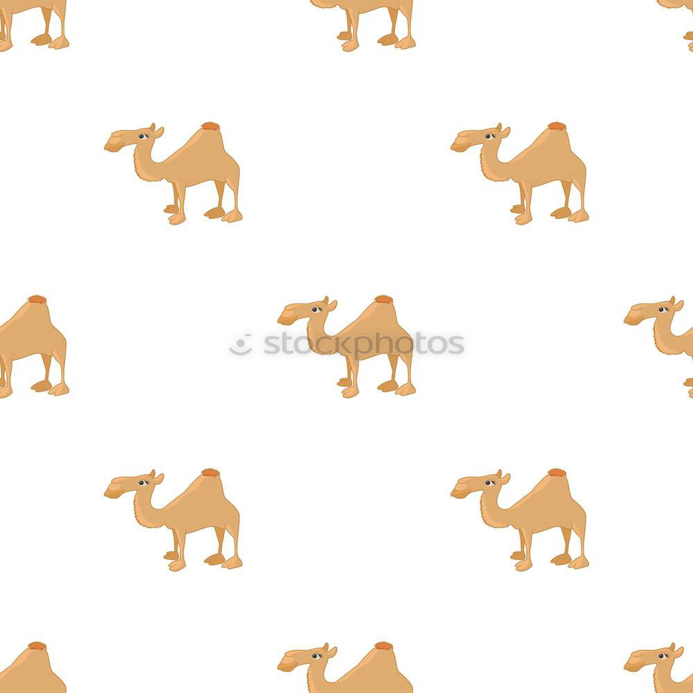 Similar – Image, Stock Photo Camel repeated figures