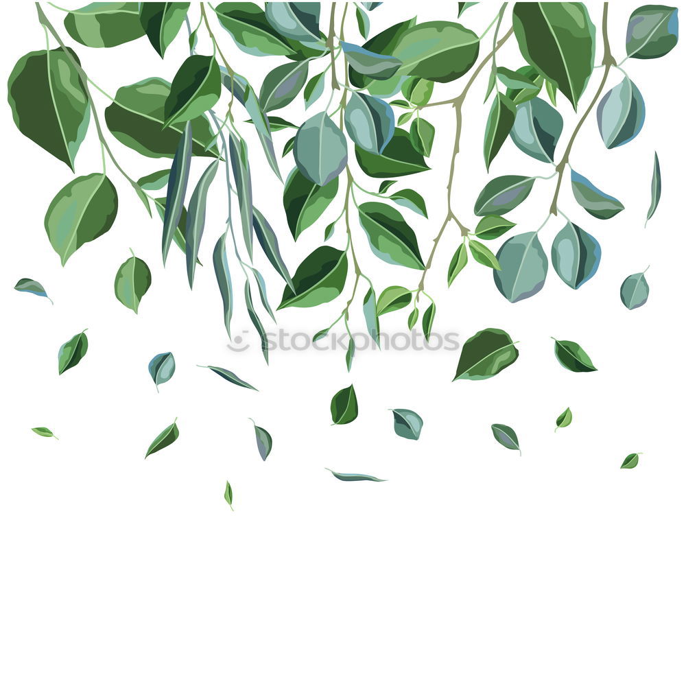 Similar – Image, Stock Photo Green leaves with drops of water on white wood