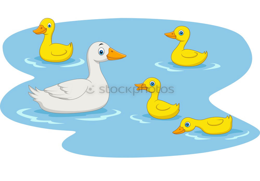 Similar – Image, Stock Photo Duck ass on the ground