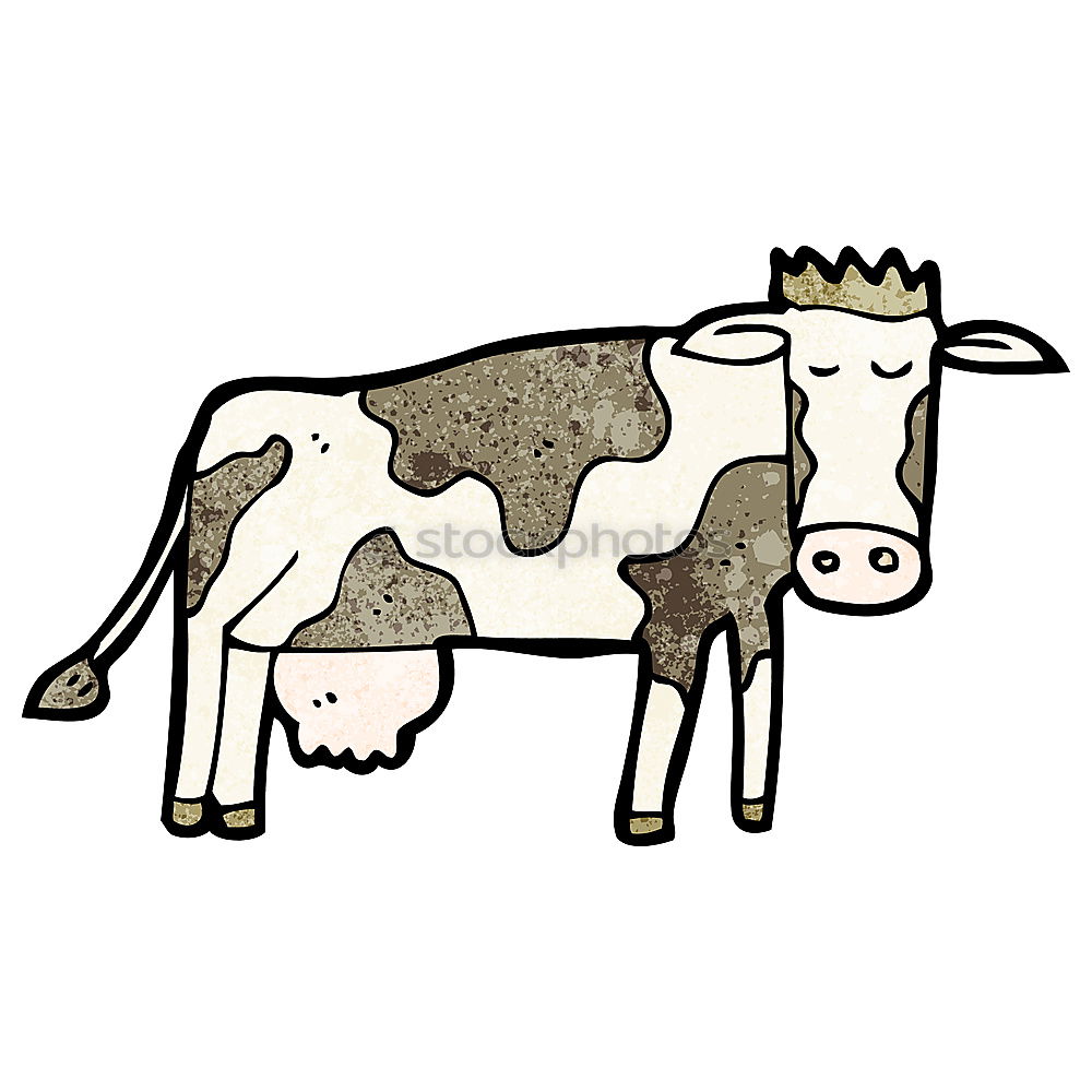 Similar – Producer. Cow Bull Udder