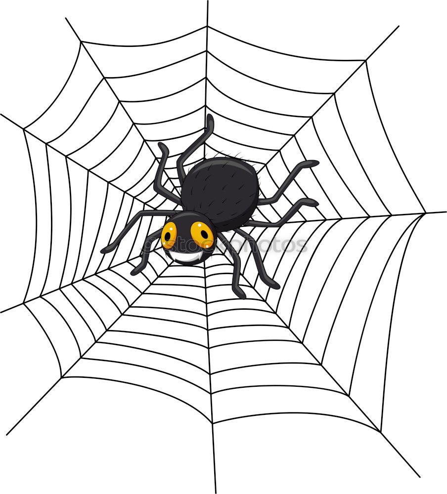Similar – Foto Bild spinnchen Spinne