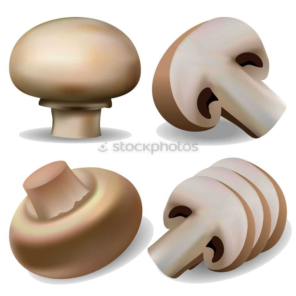 Similar – Mushroom Mushroom Mushroom Mushroom