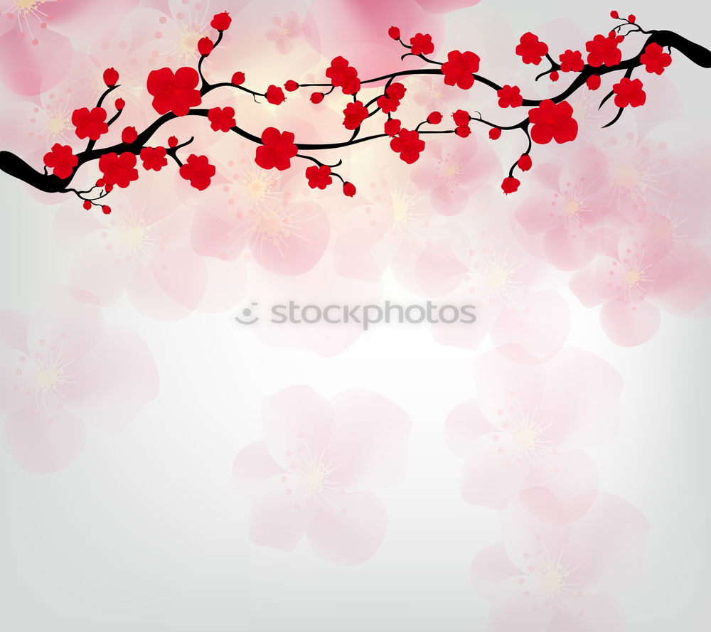 Similar – Image, Stock Photo Autumn Leaves I