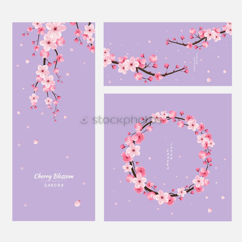Similar – Image, Stock Photo Pink flowers on blue background