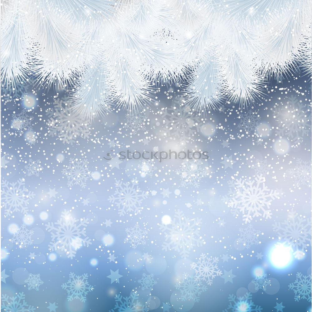 Similar – Winter nature background with fir branches